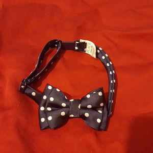 Polka Dot BowTie